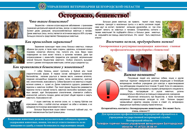 Эффективный метод снижения численности безнадзорных животных.. Эффективный метод снижения численности безнадзорных животных..